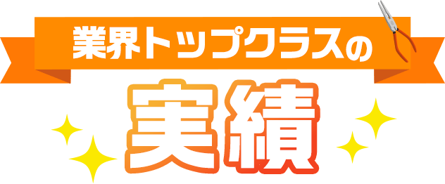 業界トップクラスの実績
